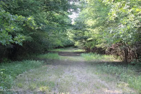 Eason Road, Lambert, MS 38643 photo 9