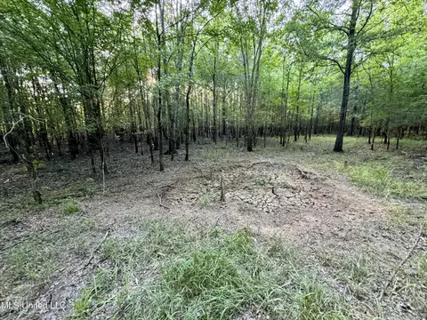 Eason Road, Lambert, MS 38643 photo 64