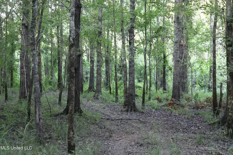 Eason Road, Lambert, MS 38643 photo 24