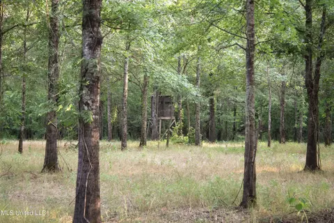 Eason Road, Lambert, MS 38643 photo 23