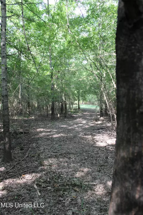 Eason Road, Lambert, MS 38643 photo 6