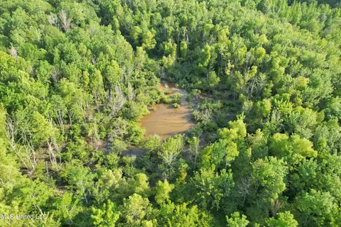 Eason Road, Lambert, MS 38643 photo 38