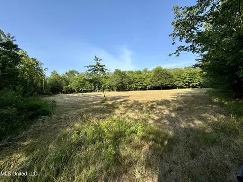 Eason Road, Lambert, MS 38643 photo 55