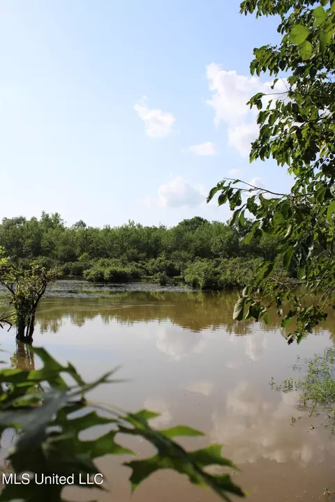 Eason Road, Lambert, MS 38643 photo 5