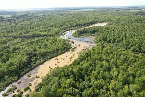 Eason Road, Lambert, MS 38643 photo 28