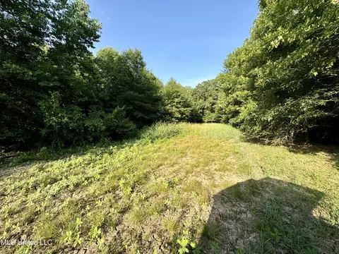Eason Road, Lambert, MS 38643 photo 58