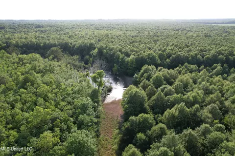 Eason Road, Lambert, MS 38643 photo 40