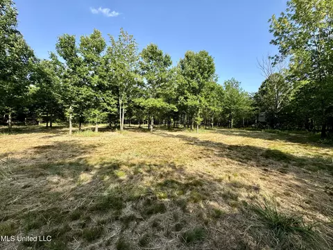 Eason Road, Lambert, MS 38643 photo 46
