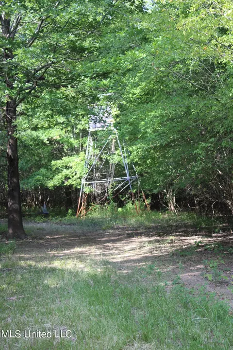 Eason Road, Lambert, MS 38643 photo 7