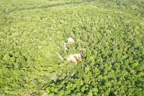 Eason Road, Lambert, MS 38643 photo 32
