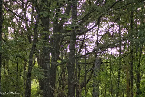 Eason Road, Lambert, MS 38643 photo 14