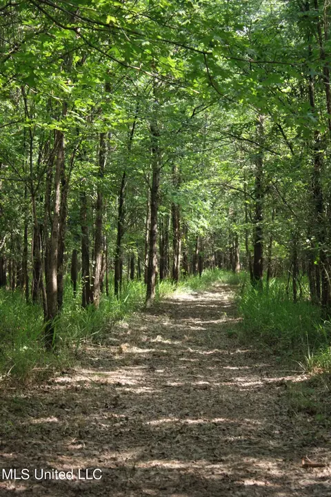 Eason Road, Lambert, MS 38643 photo 2
