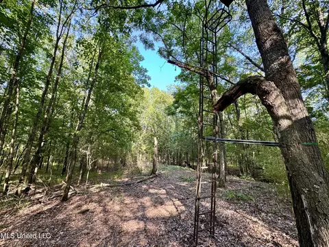 Eason Road, Lambert, MS 38643 photo 50