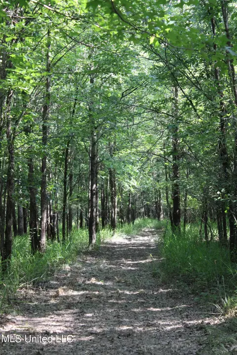 Eason Road, Lambert, MS 38643 photo 3