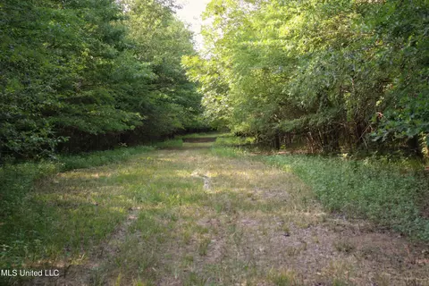 Eason Road, Lambert, MS 38643 photo 8