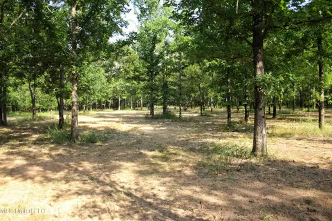 Eason Road, Lambert, MS 38643 photo 12