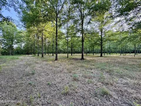 Eason Road, Lambert, MS 38643 photo 61