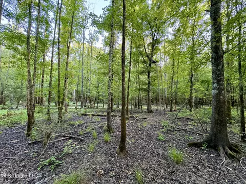 Eason Road, Lambert, MS 38643 photo 63