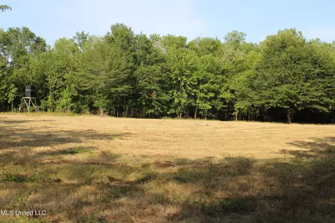 Eason Road, Lambert, MS 38643 photo 18