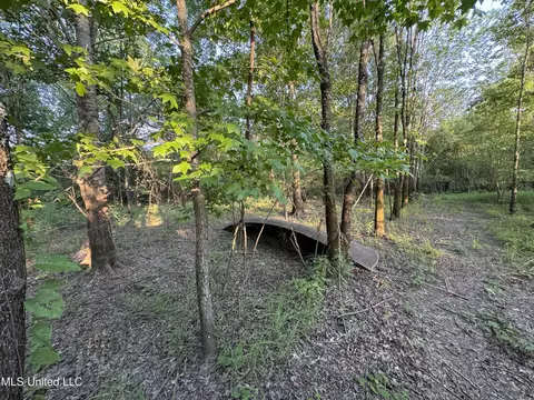 Eason Road, Lambert, MS 38643 photo 65