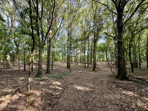 Eason Road, Lambert, MS 38643 photo 56
