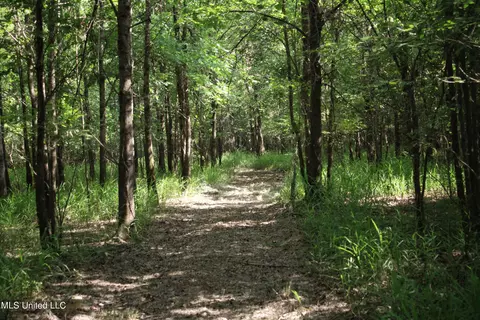 Eason Road, Lambert, MS 38643 photo 4