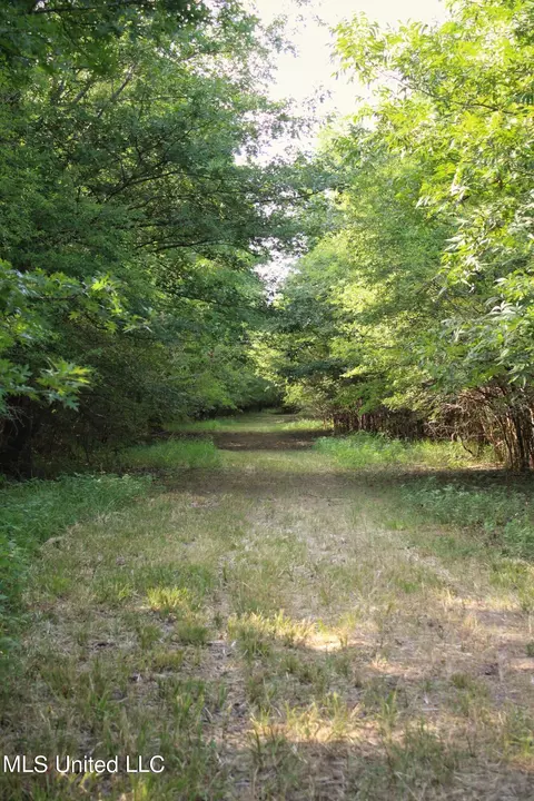 Eason Road, Lambert, MS 38643 photo 10