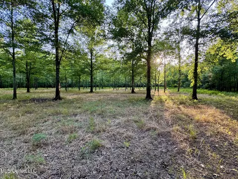 Eason Road, Lambert, MS 38643 photo 60