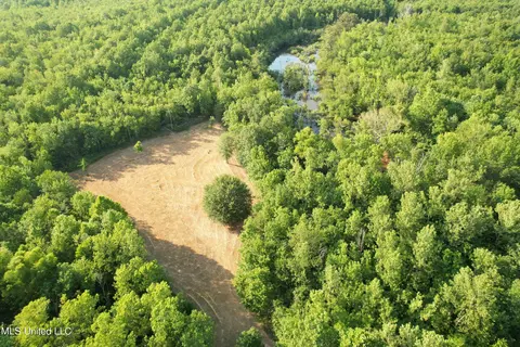Eason Road, Lambert, MS 38643 photo 39