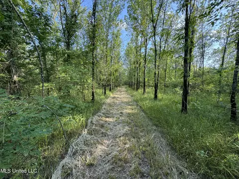 Eason Road, Lambert, MS 38643 photo 54