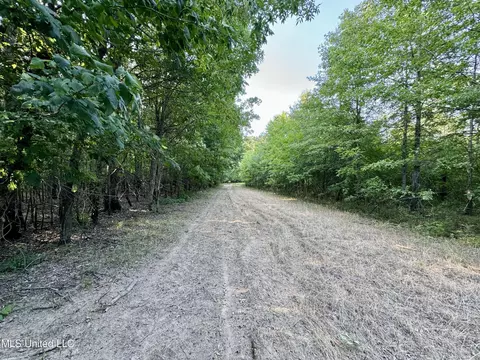 Eason Road, Lambert, MS 38643 photo 57