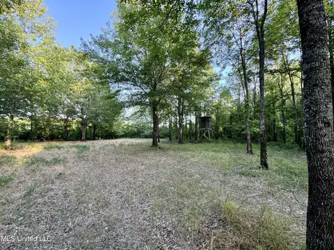 Eason Road, Lambert, MS 38643 photo 62