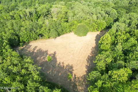 Eason Road, Lambert, MS 38643 photo 37
