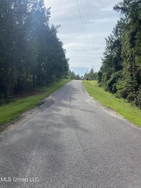 Hernando Street, Mchenry, MS 39561 photo 4