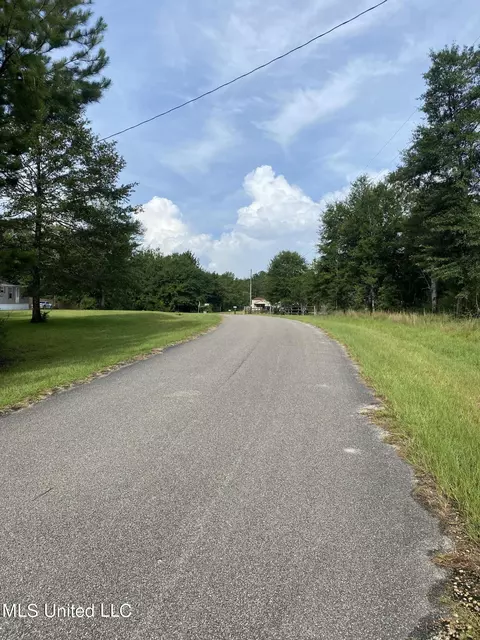 Hernando Street, Mchenry, MS 39561 photo 5