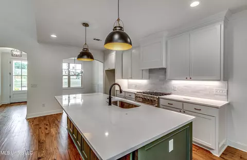 Kitchen - 322 Celadon Way, Brandon, MS 39042 photo 7 of 7