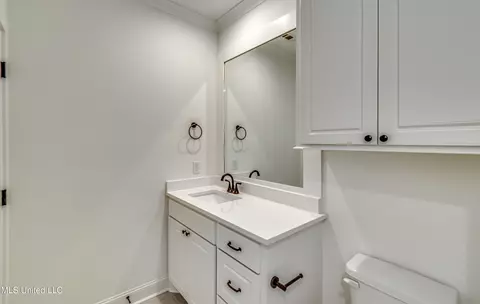 Bath - 322 Celadon Way, Brandon, MS 39042 photo 1 of 9