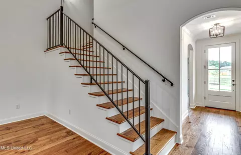 Entry Way - 322 Celadon Way, Brandon, MS 39042 photo 2 of 2