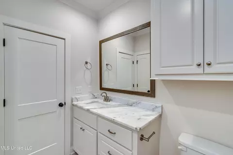 Bath - 628 Cobalt Way, Brandon, MS 39042 photo 1 of 5