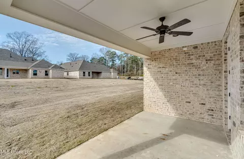Exterior - 628 Cobalt Way, Brandon, MS 39042 photo 8 of 10