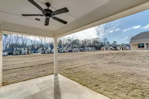 Exterior - 628 Cobalt Way, Brandon, MS 39042 photo 7 of 10