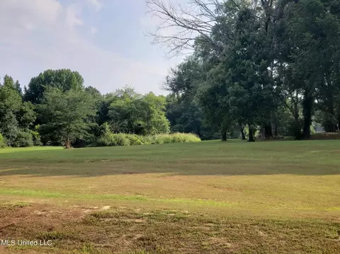 144 Cherrydale Dr, Coldwater, MS 38618 photo 36