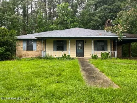 Exterior - 233 Sutton Rd, New Hebron, MS 39140 photo 1 of 1