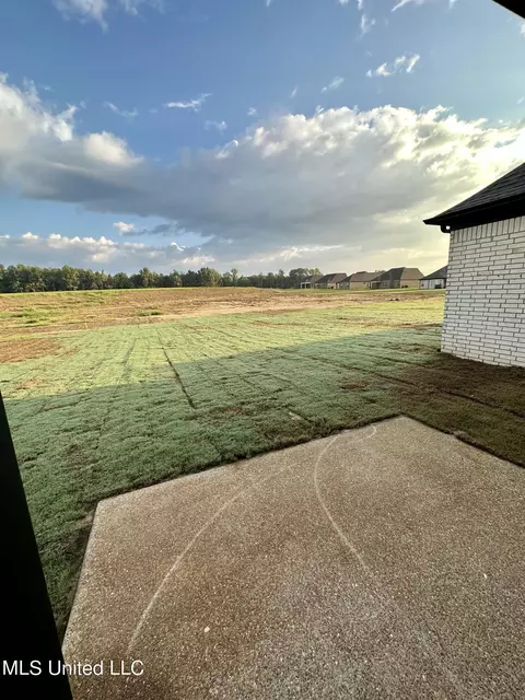 6214 Clover Ct, Walls, MS 38680 photo 30