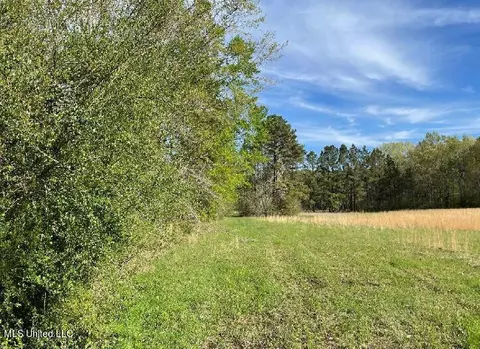 210 Green Gable Rd, Terry, MS 39170 photo 11