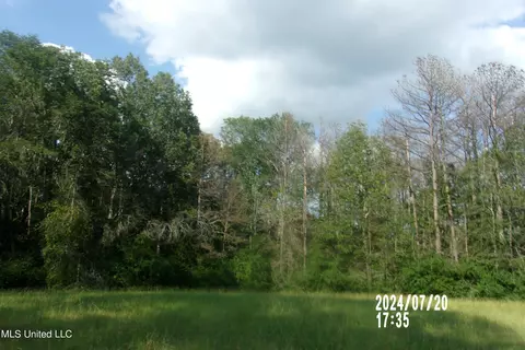 210 Green Gable Rd, Terry, MS 39170 photo 7