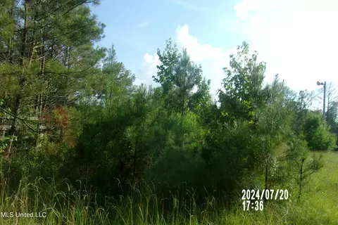 210 Green Gable Rd, Terry, MS 39170 photo 9