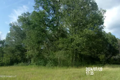 210 Green Gable Rd, Terry, MS 39170 photo 6