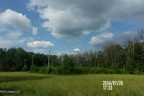 210 Green Gable Rd, Terry, MS 39170 photo 3