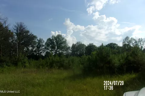 210 Green Gable Rd, Terry, MS 39170 photo 8